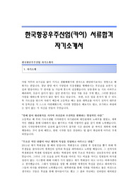 한국항공우주산업(카이) 서류합격 자기소개서 카이합격자소서 카이(한국항공우주산업)채용자기소개서자소서 카이입사지원서견본 카이자소서족보