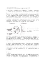 말초성 아드레날린 수용체 차단제