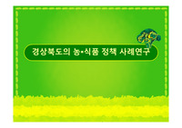 경북 농식품정책 성공, 실패사례연구 ppt