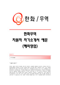 [한화무역자기소개서] 한화무역합격자소서 한화무역(해외영업)공채입사지원서