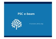 PSC E Beam