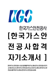 [한국가스안전공사-최신공채합격자기소개서]가스안전공사자기소개서자소서,한국가스안전공사자소서자기소개서,한국가스안전공사합격자기소개서,한국가스안전공사,KGS