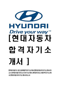 [현대자동차-최신공채합격자기소개서]현대자동차자기소개서자소서,현대자동차자소서자기소개서,현대차자소서합격자기소개서,현대자동차자기소개서자소서