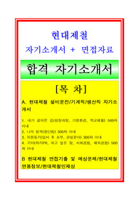 (현대제철 생산직/생산관리 자기소개서 + 면접후기(지원동기, 채용정보)