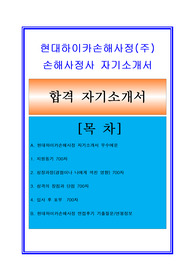 현대하이카 자기소개서 + 면접기출/면접예상질문수록/합격스펙