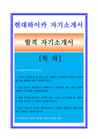 현대하이카손해사정 자기소개서 + 면접기출/면접예상질문수록/합격스펙/지원동기