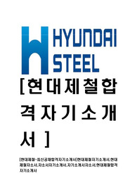 [현대제철-최신공채합격자기소개서]현대제철자기소개서,현대제철자소서,자소서자기소개서,자기소개서자소서,현대제철합격자기소개서