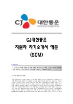 CJ대한통운(SCM) 서류합격 자기소개서 CJ대한통운합격자소서샘플 대한통운(SCM)공채입사지원서 CJ대한통운채용자기소개서자소서 대한통운자기소개서족보 대한통운자소서항목
