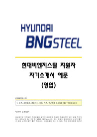 현대비앤지스틸 서류합격 자기소개서,현대비앤지스틸합격자소서샘플,현대비엔지스틸(영업)공채입사지원서,현대BNG스틸채용자기소개서자소서,현대비앤지스틸자소서항목