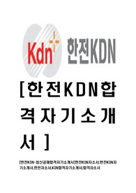 [한전KDN-최신공채합격자기소개서]한전KDN자소서,한전KDN자기소개서,한전자소서,KDN합격자기소개서,합격자소서