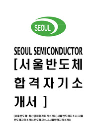 [서울반도체-최신공채합격자기소개서]서울반도체자소서,서울반도체자기소개서,반도체자소서,서울합격자기소개서
