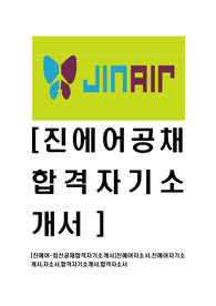 [진에어-2014년최신공채합격자기소개서]진에어자소서,진에어자기소개서,자소서,합격자기소개서,합격자소서