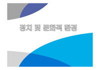 정치 및 문화적 환경