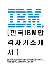 [한국IBM-2014년공채합격자기소개서]IBM자소서,한국IBM자기소개서,한국IBM자소서,IBM합격자기소개서,IBM