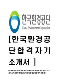 [한국환경공단-최신공채합격자기소개서]한국환경공단자소서,자기소개서,한국환경공단자소서,환경공단합격자기소개서