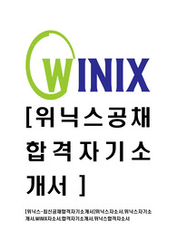 [위닉스-최신공채합격자기소개서]위닉스자소서,위닉스자기소개서,WiNIX자소서,합격자기소개서,위닉스합격자소서