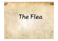 The Flea