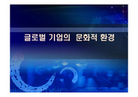 글로벌 기업의  문화적 환경