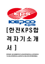 [한전KPS-최신공채합격자기소개서]한전KPS자소서,한전KPS자기소개서,한전KPS자소서,KPS자기소개서,한전,한전케이피에스