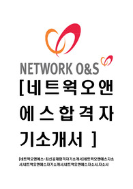 [네트웍오앤에스-최신공채합격자기소개서]네트웍오앤에스자소서,네트웍오앤에스자기소개서,네트웍오앤에스자소서,자소서