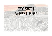 한국사 - 조선후기 농민의 민란