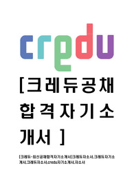 [크레듀-최신공채합격자기소개서]크레듀자소서,크레듀자기소개서,크레듀자소서,credu자기소개서,자소서