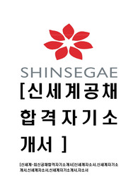 [신세계-인턴사원공채합격자기소개서]신세계자소서,신세계자기소개서,신세계자소서,신세계자기소개서,자소서