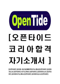 [오픈타이드코리아-최신공채합격자기소개서]오픈타이드코리아자소서,오픈타이드자기소개서,오픈타이드코리아자소서,오픈타이드코리아자기소개서,오픈타이드코리아자소서,오픈타이드