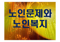 우리나라 노인문제와 노인복지-노인문제에 대한 사회복지적 대책