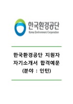 [한국환경공단자기소개서]한국환경공단인턴자기소개서,한국환경공단인턴자소서,환국환경공단(인턴)합격자기소개서,한국환경공단(인턴채용)자소서