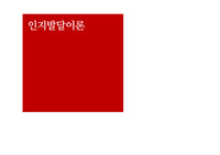 인지발달이론