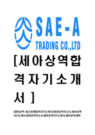 [세아상역-2014년최신공채합격자기소개서]세아상역자소서,세아상역자기소개서,세아상역자소서,세아상역자기소개서,세아상역,세아