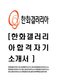 [한화갤러리아-최신공채합격자기소개서]한화갤러리아자소서,한화갤러리아자기소개서,갤러리아자소서,한화갤러리아자기소개서,갤러리아자소서,한화갤러리아,갤러리아백화점,갤러리아