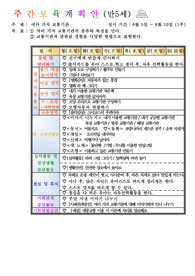 평가인증 만5세 8월 교통안전 보육일지(보육실습일지)