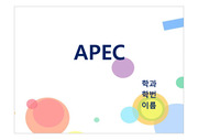 APEC 발표자료