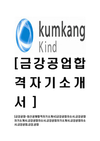 [금강공업-최신공채합격자기소개서]금강공업자소서,금강공업자기소개서,금강공업자소서,금강공업자기소개서,금강공업자소서,금강공업,금강,공업
