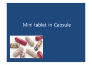 mini-tablet in Capsule 제형 PPT