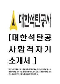 [대한석탄공사-청년인턴최신공채합격자기소개서]대한석탄공사자소서,대한석탄공사자기소개서,대한석탄공사자소서,대한석탄공사자기소개서,대한석탄공사자소서,대한석탄공사