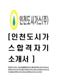 [인천도시가스-최신공채합격자기소개서]인천도시가스자소서,인천도시가스자기소개서,인천도시가스자소서,인천도시가스자기소개서,인천도시가스자소서,인천도시가스,도시가스