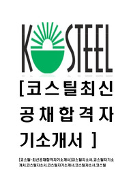 [코스틸-최신공채합격자기소개서]코스틸자소서,코스틸자기소개서,코스틸자소서,코스틸자기소개서,코스틸자소서,코스틸