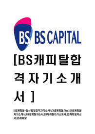 [BS캐피탈-최신공채합격자기소개서]BS캐피탈자소서,BS캐피탈자기소개서,BS캐피탈자소서,BS케피탈자기소개서,BS캐피탈자소서,BS캐피탈