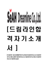 [드림라인-최신공채합격자기소개서]드림라인자소서,드림라인자기소개서,세아드림라인자소서,드림라인자기소개서,드림라인자소서,드림라인,seah