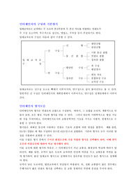 인터체인지