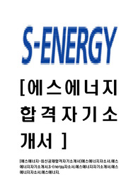 [에스에너지-2014년최신공채합격자기소개서]에스에너지자소서,에스에너지자기소개서,S-Energy자소서,에스에너지자기소개서,에스에너지자소서,에스에너지,