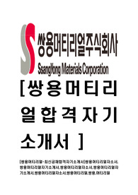 [쌍용머티리얼-최신공채합격자기소개서]쌍용머티리얼자소서,쌍용머티리얼자기소개서,쌍용머티리얼자소서,쌍용머티리얼자기소개서,쌍용머티리얼자소서,쌍용머티리얼,쌍용,머티리얼
