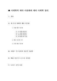 [사회학이론]사회학적 메타 이론화와 메타 사회학 정리