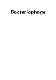 Bacteriophage의 특징과 life cycle(생활사) -박테리오파지의 용원성(lysogenic cycle), 용균성(lytic cycle)