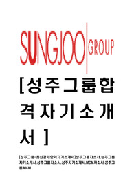 [성주그룹-최신공채합격자기소개서]성주그룹자소서,성주그룹자기소개서,성주그룹자소서,성주자기소개서,MCM자소서,성주그룹.MCM