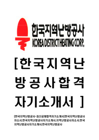[한국지역난방공사-2014년최신공채합격자기소개서]한국지역난방공사자소서,한국지역난방공사자기소개서,지역난방공사자소서,한국지역난방공사자기소개서,한국지역난방공사