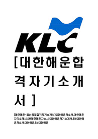 [SM대한해운-최신공채합격자기소개서]대한해운자소서,대한해운자기소개서,SM대한해운자소서,대한해운자기소개서,SM대한해운자소서,대한해운.SM대한해운